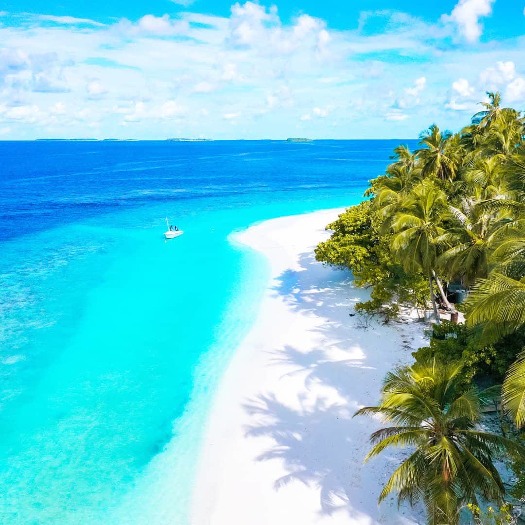 wheresmaldives's tweet photo. Beautiful#BaaAtoll 😍
⠀
🔥 Follow @wheresmaldives⠀ ⠀
📸 @sobee333
⠀ https://t.co/6wx7Y7mYqj