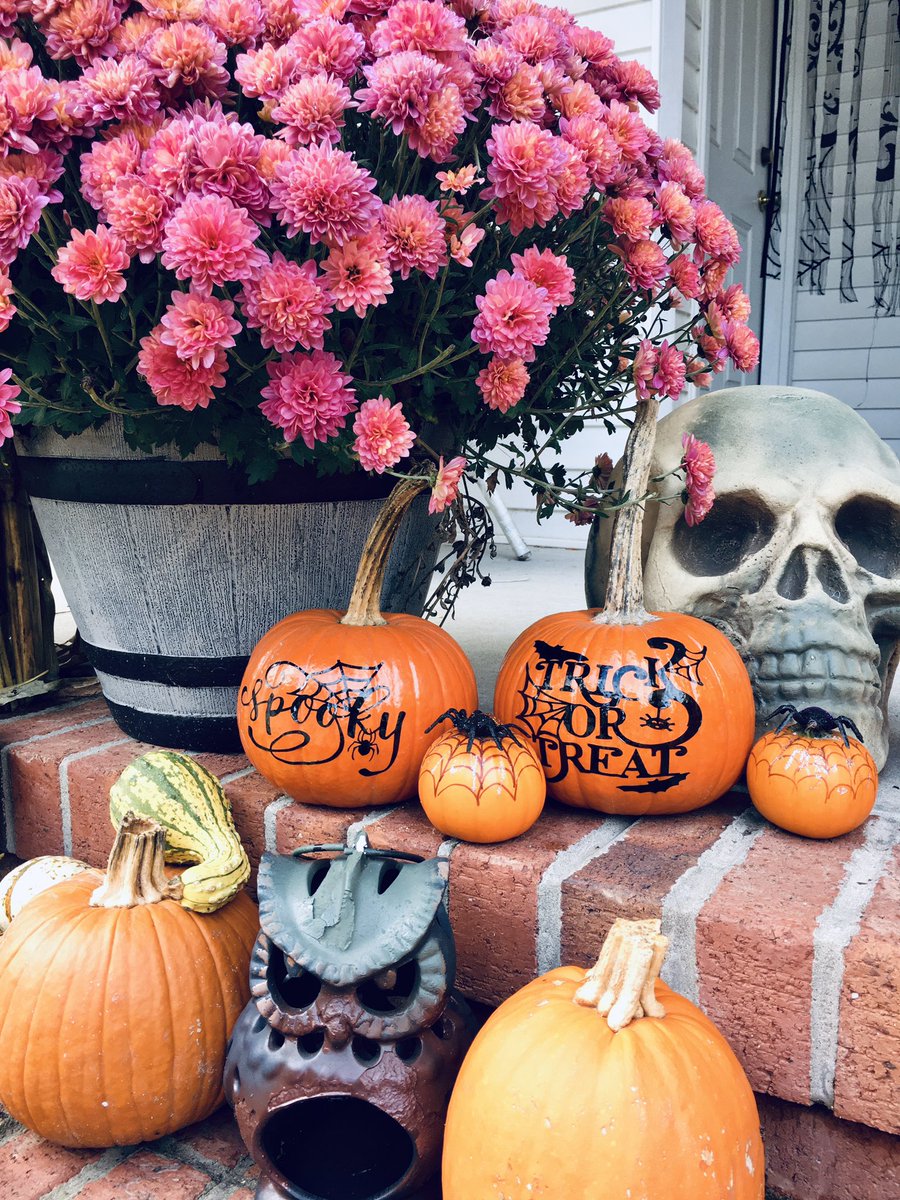 opbeachbabe's tweet photo. Letβs give βem pumpkin to talk about...
#NationalPumpkinDay #restingwitchface
#beachface
@OCMaryland @AllThingsOC https://t.co/mqvNnimHBe