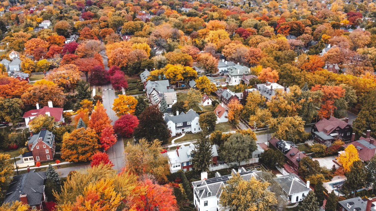 bekwittt's tweet photo. fall in detroit 🍂 https://t.co/VsBB2MMRZW