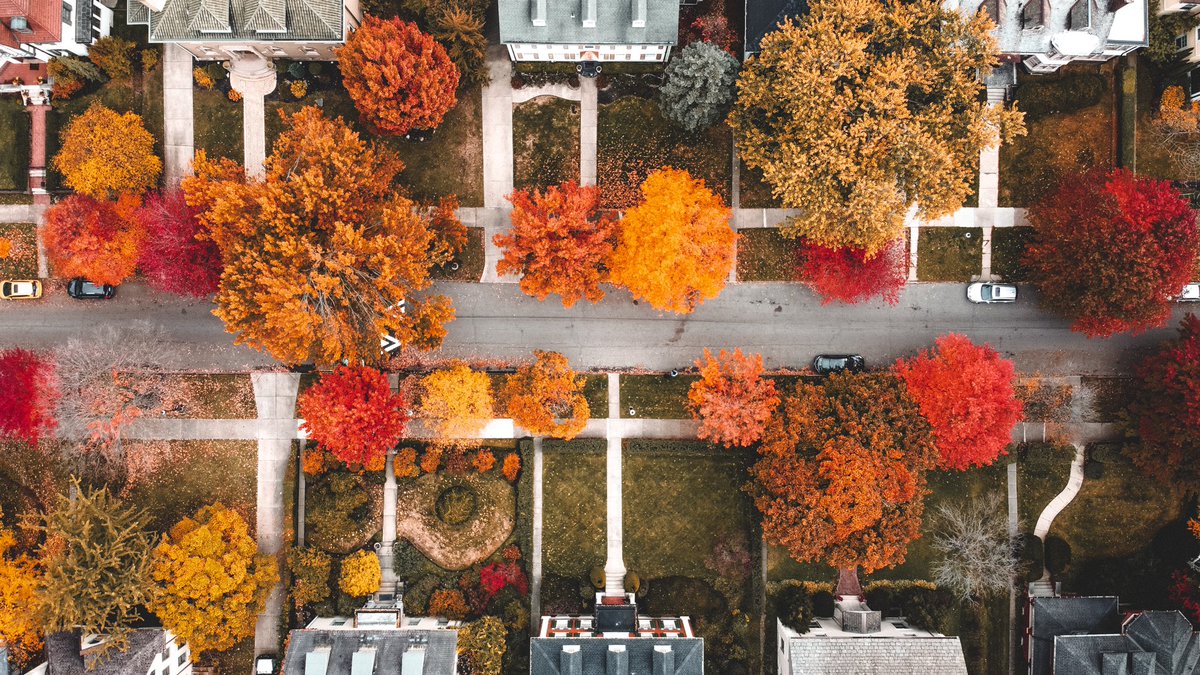 bekwittt's tweet photo. fall in detroit 🍂 https://t.co/VsBB2MMRZW