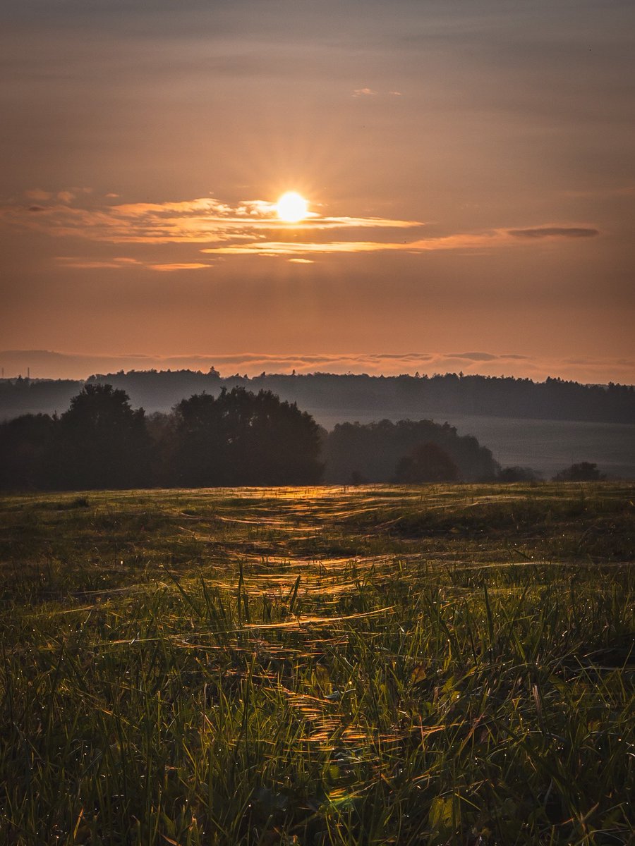 Kiknak's tweet photo. Podzimní výstřelky přírody...🌄📷🍂 #autumn #landscapes #sunset #photography #fog #mountains #beskydy #libhost #moravia #czechrepublic #sonyalpha https://t.co/i4FqGdZcsG