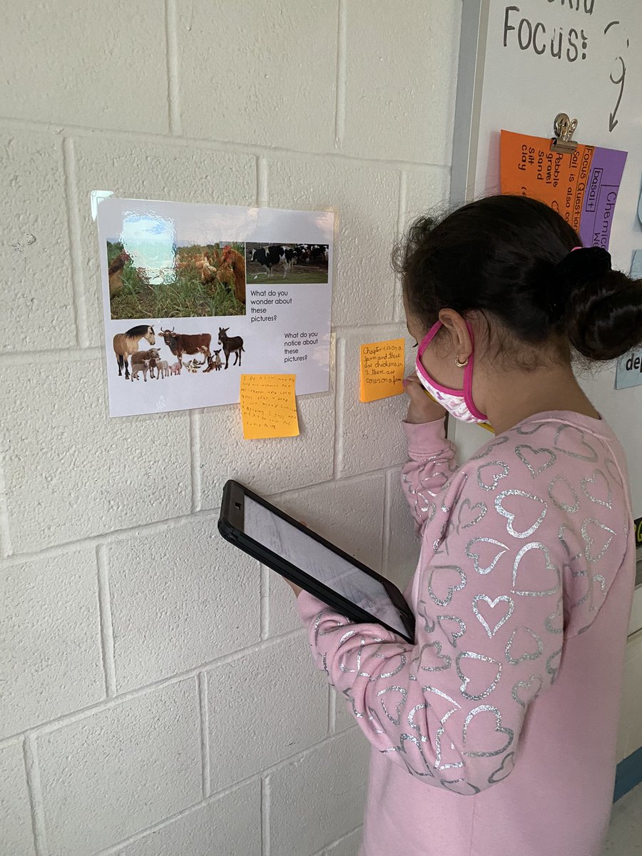 TessaSeymour1's tweet photo. Our first gallery walk of the year! Learning about natural resources while still keeping our distance! #keepingthemengaged #sciencerocks @DrWeeksSCSD @SCSDScience #SyraFuse https://t.co/NujqFlNyJw