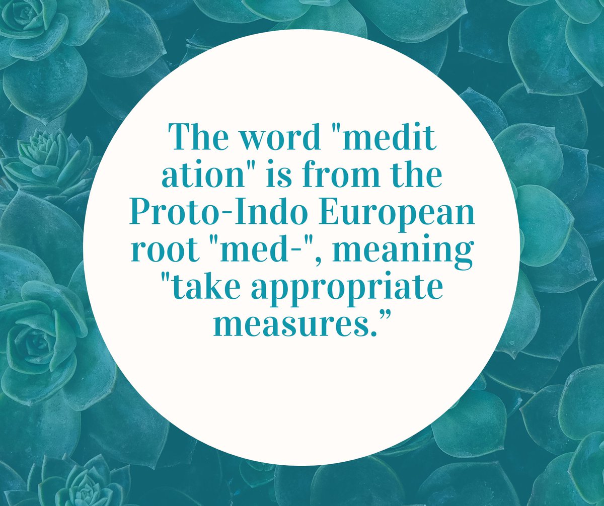gnrationzen's tweet photo. Meditating is definitely the most appropriate measure. @MSS_H_W https://t.co/fVq8IDKwpF