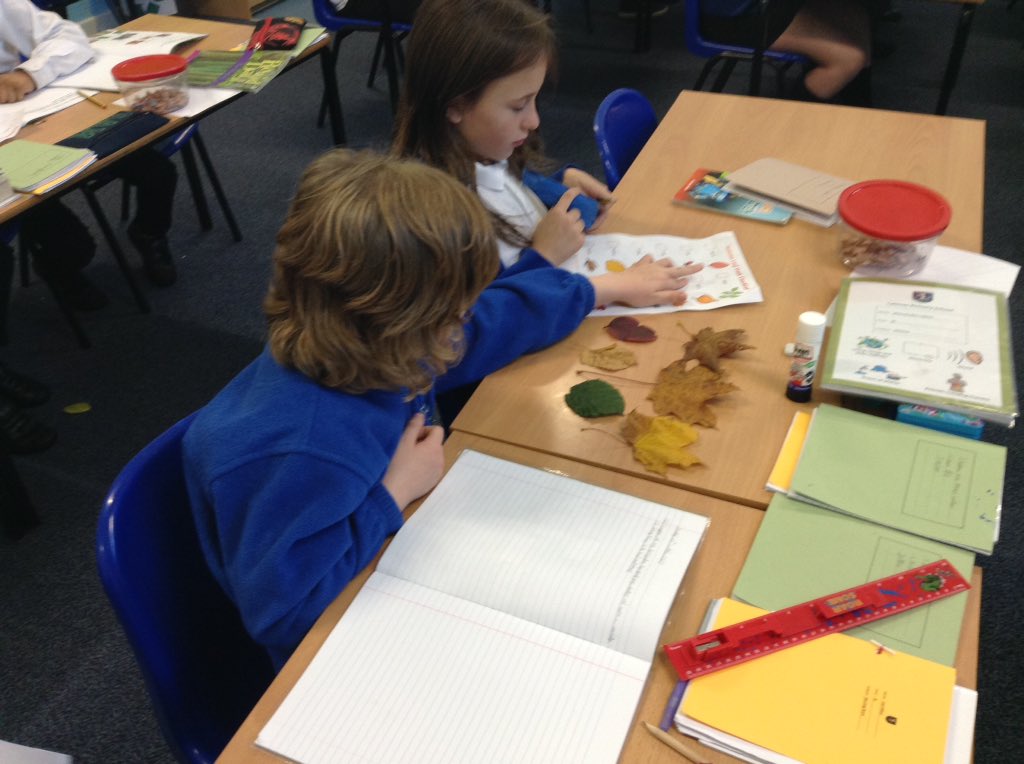 latimerprimary's tweet image. #ClassBL have been hunting for and classifying leaves #LatimerScience