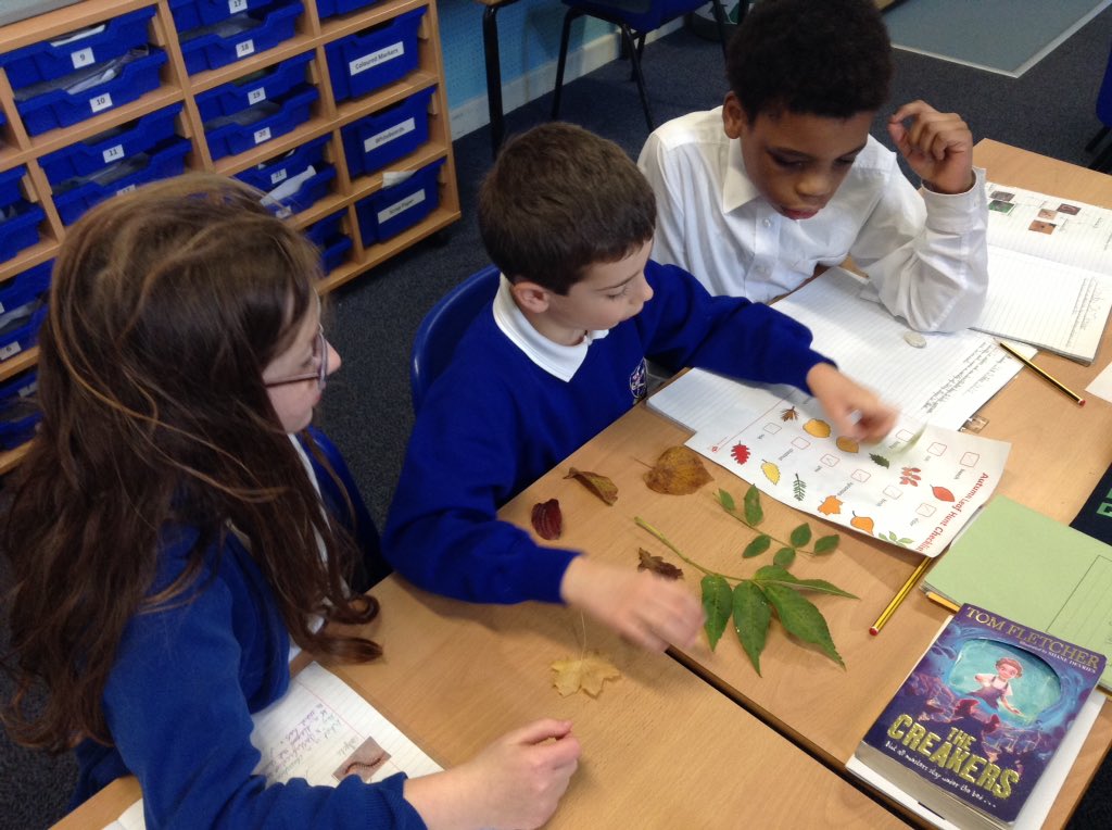 latimerprimary's tweet image. #ClassBL have been hunting for and classifying leaves #LatimerScience