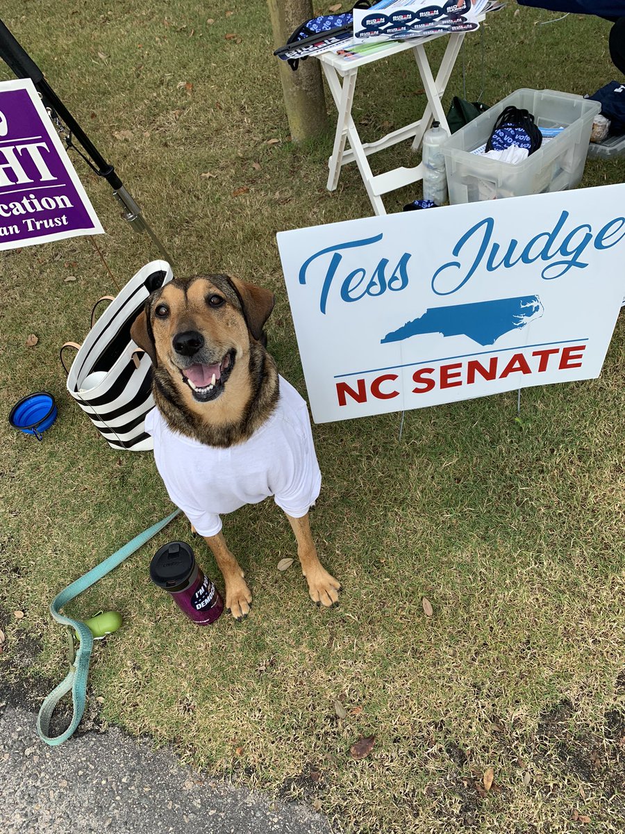 Thank you so much to all our paw-sitive poll greeters!
