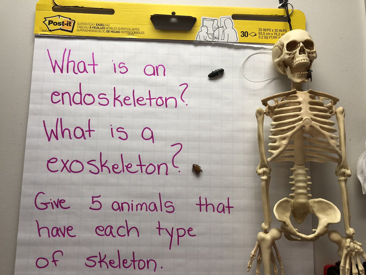 October challenge! Complete the challenge and win a ticket to our fall celebration!  <a href="/IppolitoHCPS/">Ippolito Elementary</a> <a href="/HCPSElemScience/">HCPSElemScience</a> <a href="/STEM4Laura/">Laura Anne Dunn</a>