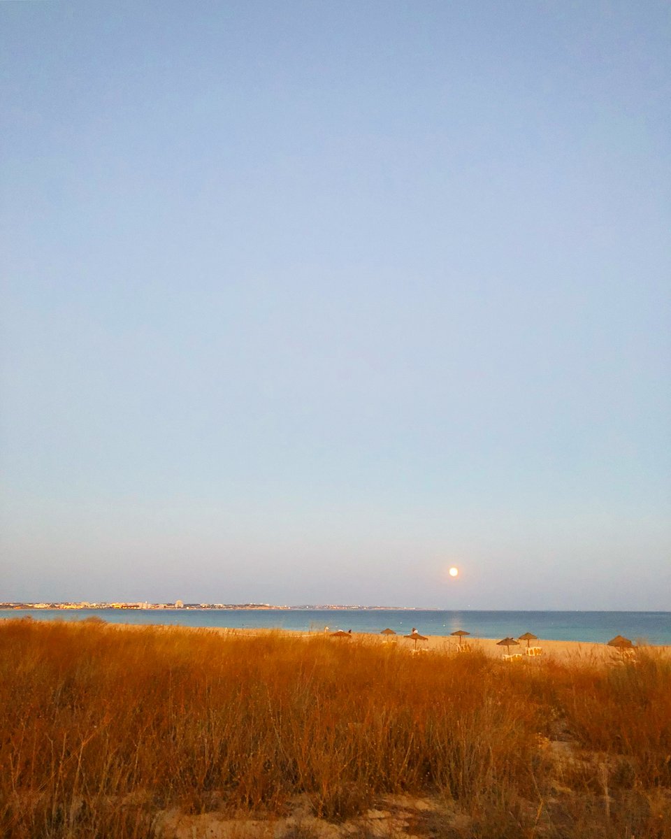 valetedecopaspt's tweet photo. 🔺Lua. 🌝
.
.
#lazer #lugares #algarve #lagos #meiapraia #praia #beach #natureza #nature #lua #moon #portugal #viajar https://t.co/Y3I6lkjsYL