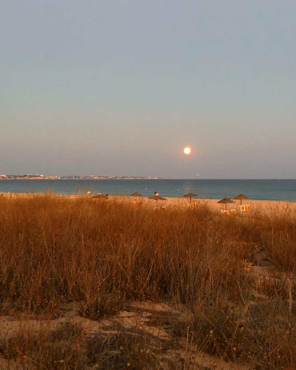 valetedecopaspt's tweet photo. 🔺Lua. 🌝
.
.
#lazer #lugares #algarve #lagos #meiapraia #praia #beach #natureza #nature #lua #moon #portugal #viajar https://t.co/Y3I6lkjsYL