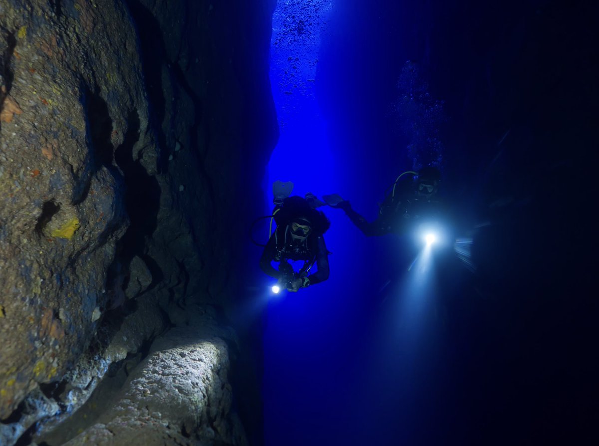 Exploring the underwater wonders of #INLANDSEA in #GOZO.  @AquaLungDivers @PADI @DAN_Europe