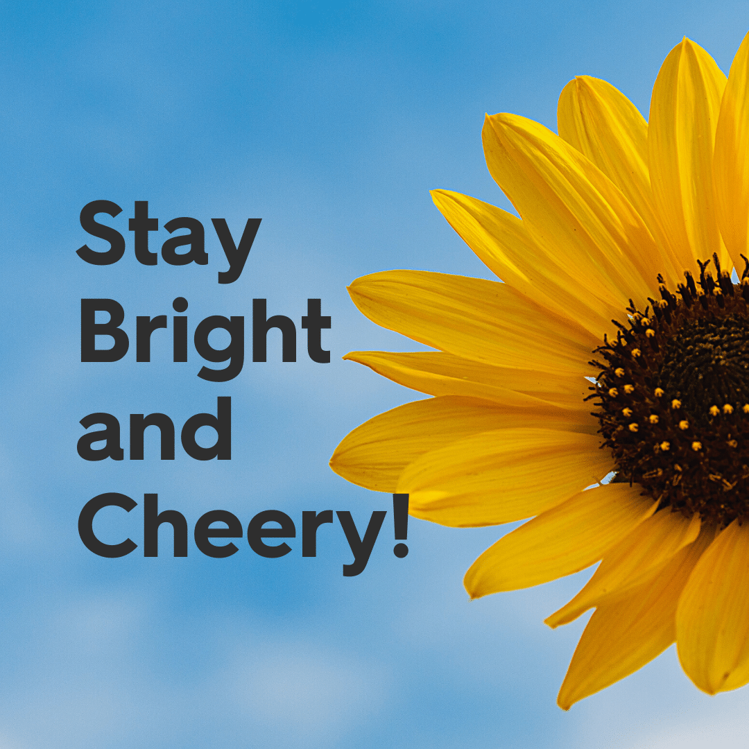 MyPointCU's tweet photo. Happy Monday Friends!
#LetsGoDoThis https://t.co/BbGoxlh2W0