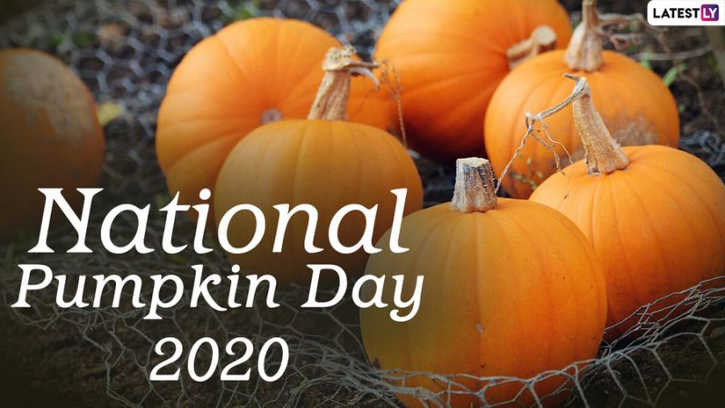 Happy National Pumpkin Day to our friends and neighbors! 
#NationalPumpkinDay