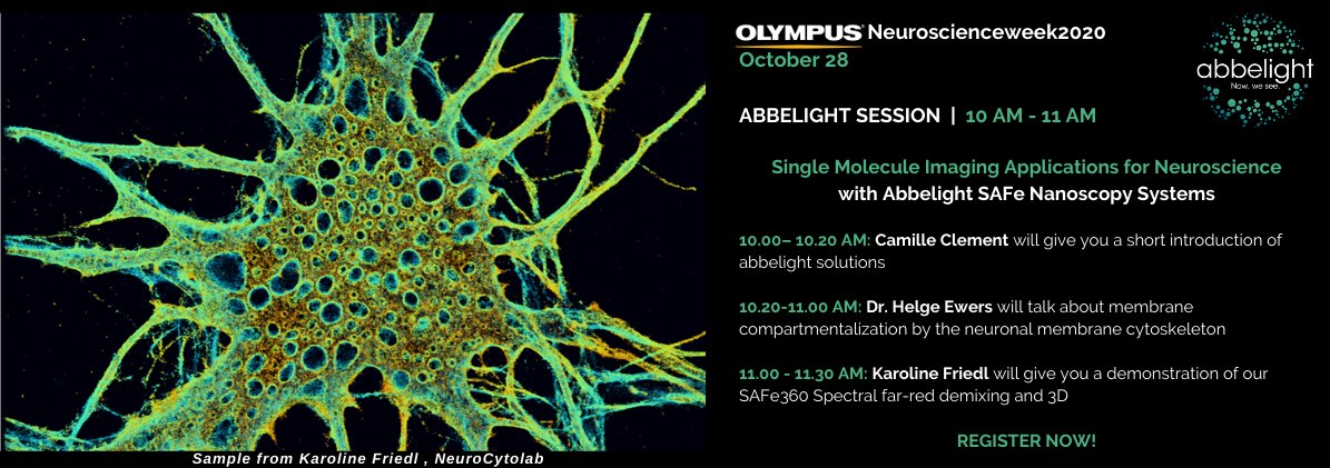 abbelight's tweet photo. It’s the #Neuroscienceweek2020!
We are looking forward to talk about #neuroscience & #superresolution imaging with our guest @ewers_helge ! Talk, live demo with Karoline from @christlet 's lab and more:
Don't forget to register
https://t.co/tPWfVVBfSh
Hosted by
@OlympusLifeSci https://t.co/JRoGFQnxqj