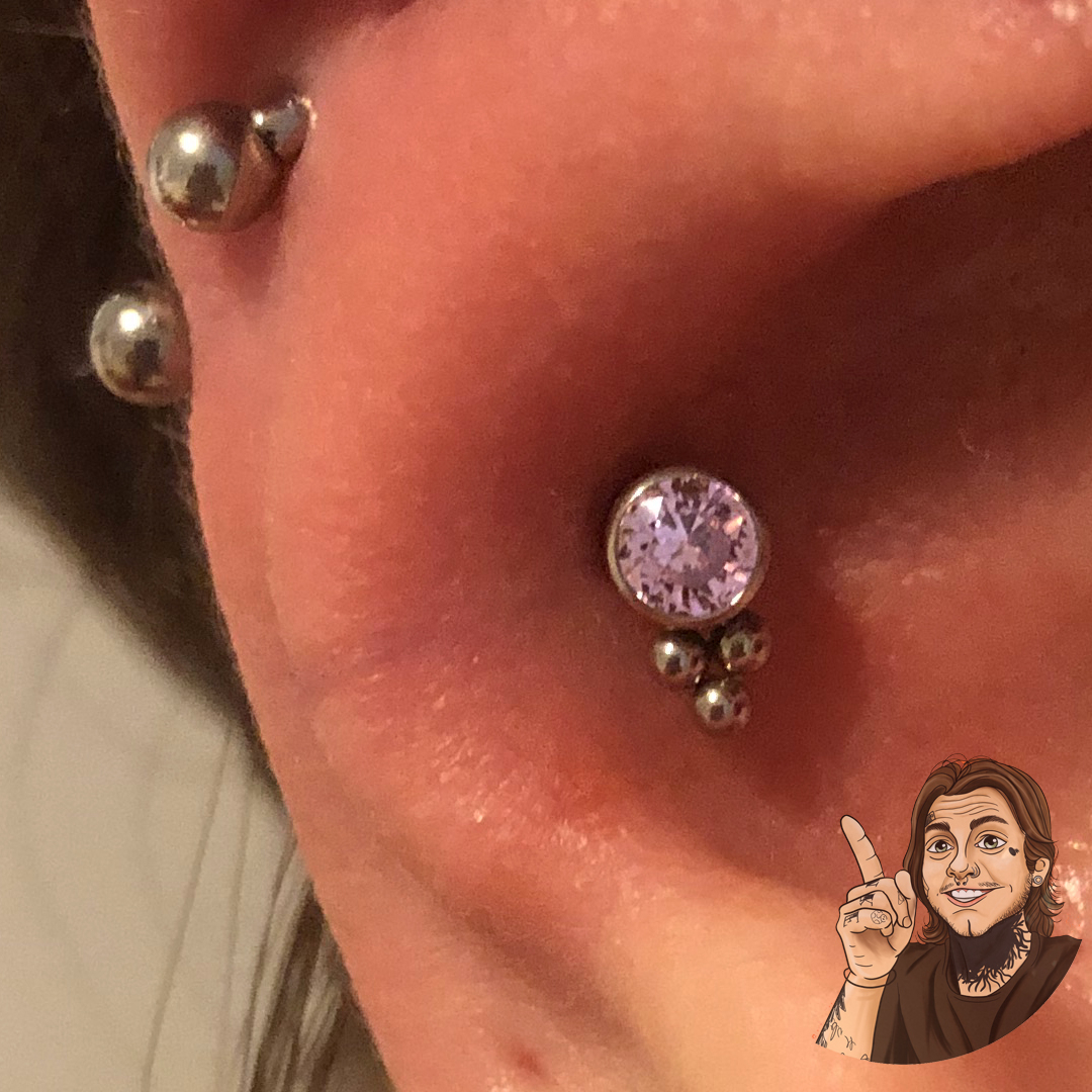 eusudano's tweet image. - C O N CH  P I E R C I N G - 

Perfuração de conch com labret trinity com zircônia lilás. 💜

#conchpiercing #piercingorelha #piercing2me #opiercingquedeucerto #piercingzirconia #niterói #safepiercing