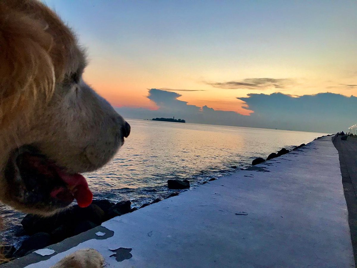 ¡Feliz lunes! Nuestro amigo Gio, frente al precioso amanecer de nuestro puerto, te desea la mejor de las semanas.
📸 : Jorge Lara
#Amanecer #AmanecerJarocho #Sunset #Sunrise #Fotografía #ElDictamen https://t.co/pMmim6ECpI