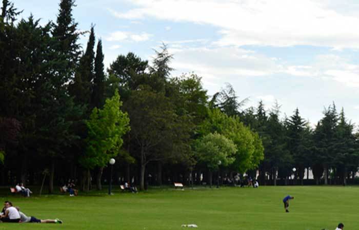 PuedoViajar tweet media