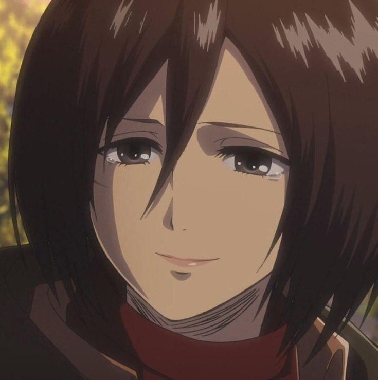 Ishikawa Yui as Mikasa Ackerman