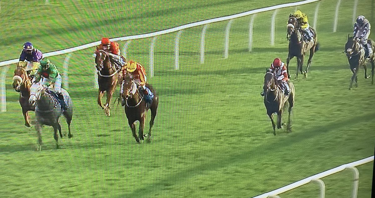 amajox's tweet photo. Congrats @amajox #champ @SerenaBrothert2 WINS div 1 @DoomBarBeer @LeicesterRaces #Eponina @MickApplebyUK #9ran #smoothvictory #topjock ππππ₯ https://t.co/KNCN3LD0pA