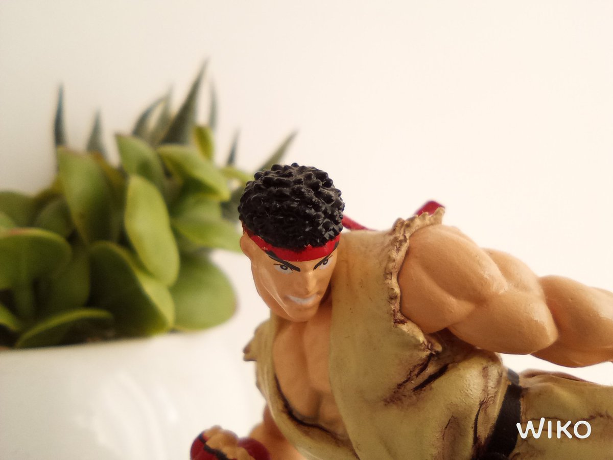 BibiFabrizio's tweet photo. Sempre dal #View5 di #wiko in prova per @batista70phone 3 scatti con la fotocamera destinata alle macro e  l'ultima immagine a risoluzione piena (48 MP), tutte in modalità automatica https://t.co/UN8P0lQ7TP