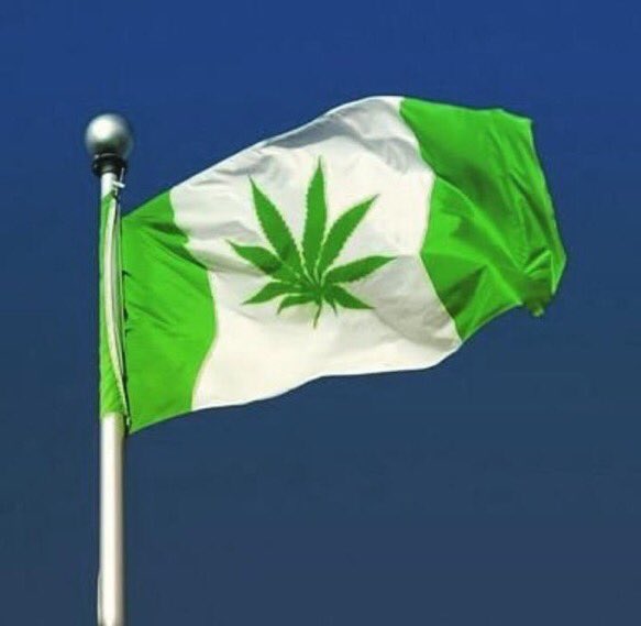 Зеленый флаг в россии. Зеленый флаг. Зеленое Знамя. Бело зеленый флаг. Зеленый белый зеленый.