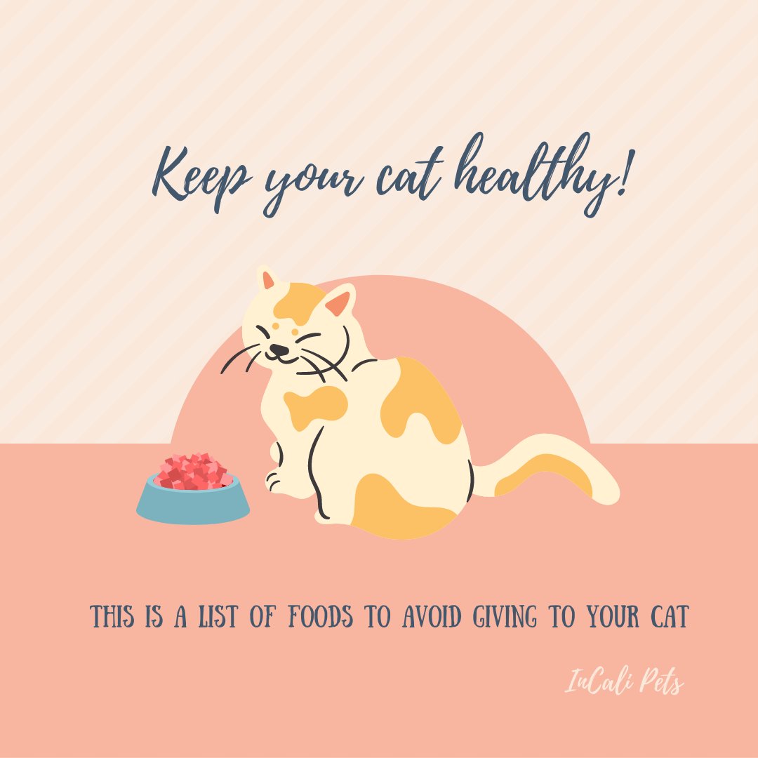 Remember, a healthy cat is a happy cat! Take note of foods to avoid! 😸📝
🙀❗ Make sure to join our official launch page (https://t.co/ScdL9r4o3M) for exclusive giveaways and discounts!
#InCaliPets
#InCaliCats
#pets #cats #petproducts #petsupplies #catlovers https://t.co/5hdN55h7D0