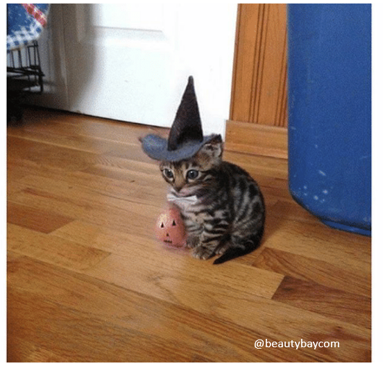 Me in my full Halloween costume with 0 plans but still keepin' it cute x