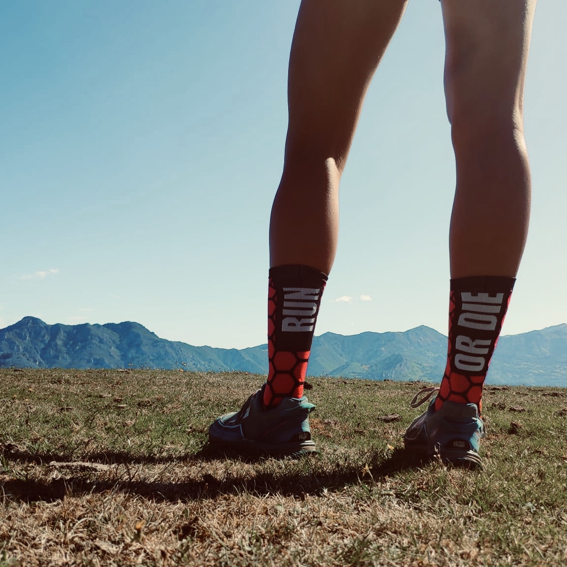 perrolococl's tweet photo. 🏃‍♀️ RUN WILD 🏃‍♂️
*
@Clauddina_
*
#running #trailrunning #calcetines #calcetinesoriginales #calcetinesdecolores #calcetinesdeportivos #calcetinesrunning #runningsocks #calcetinescompresivos #runningmotivation #runningcommunity #runninglife #runningaddict #runningday #runningtime https://t.co/KHygBUiS0F