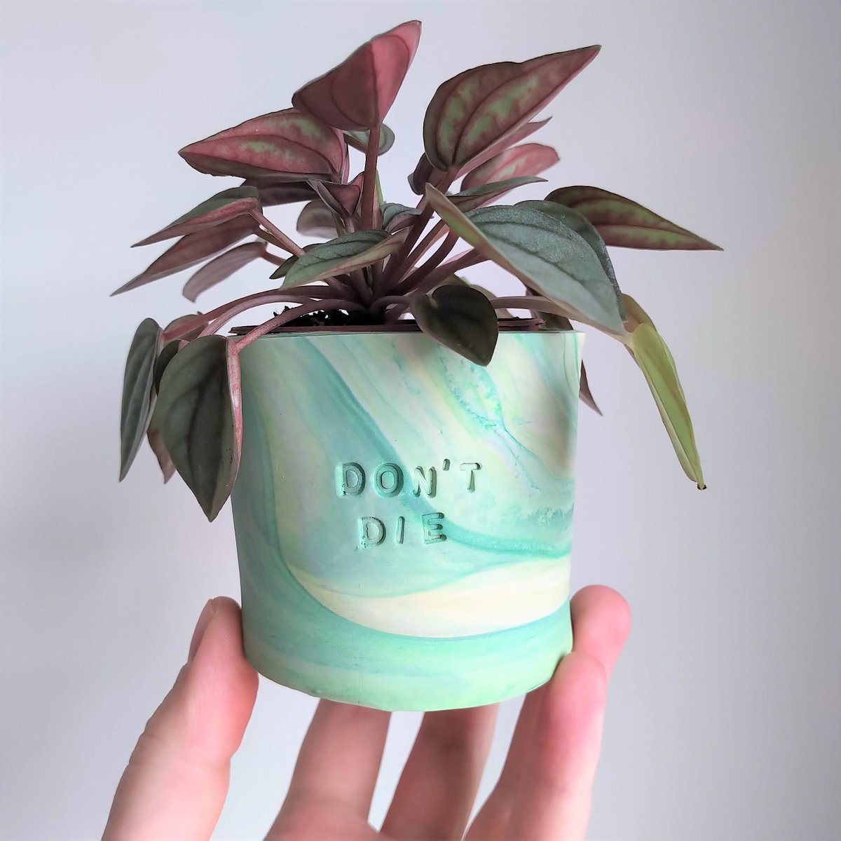 weesleepybee's tweet photo. Latest addition to my #etsy shop: Don't Die Planter ~ Handmade Marbled Clay Planter with funny text, Great Gift Idea for Plant Mums!  https://t.co/umBaE5pQ1L #Planter #dontdie #plantpot #plantmum #greenthumbwannabe https://t.co/R6E4VWt7Q9