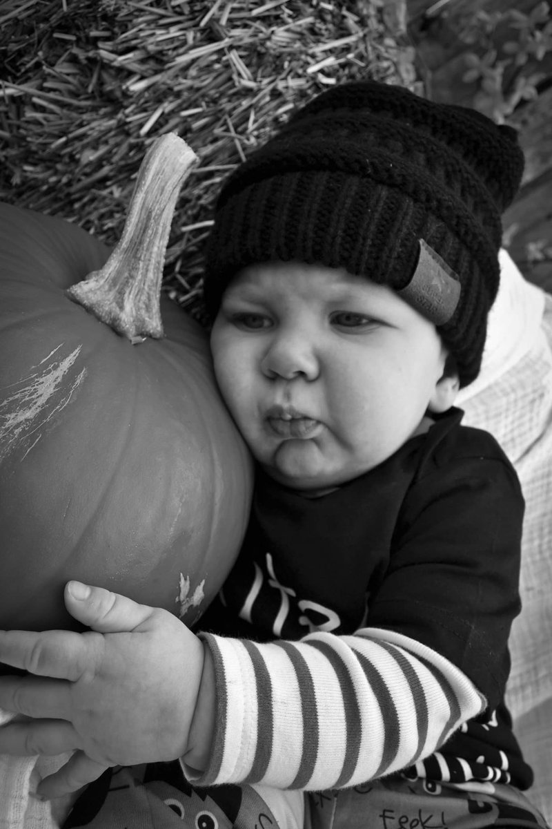 EmilyHamilton68's tweet photo. The cutest pumpkin in the patch🧡🖤🎃 https://t.co/GVXo3ejo8k
