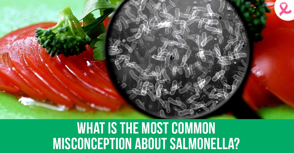 GerminatorInc's tweet image. Most people believe that #salmonella can only be found in contaminated foods when in fact it can also reside on surfaces that have come into contact with that contaminated food. We can help you sanitize and #disinfect your surfaces. #LiveProtected grmtr.co/0000aTy
