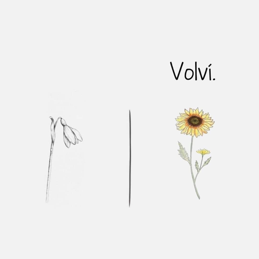 ClaudiaCorreaO's tweet photo. 🌻🌻🌻 https://t.co/fOxwHRgEab
