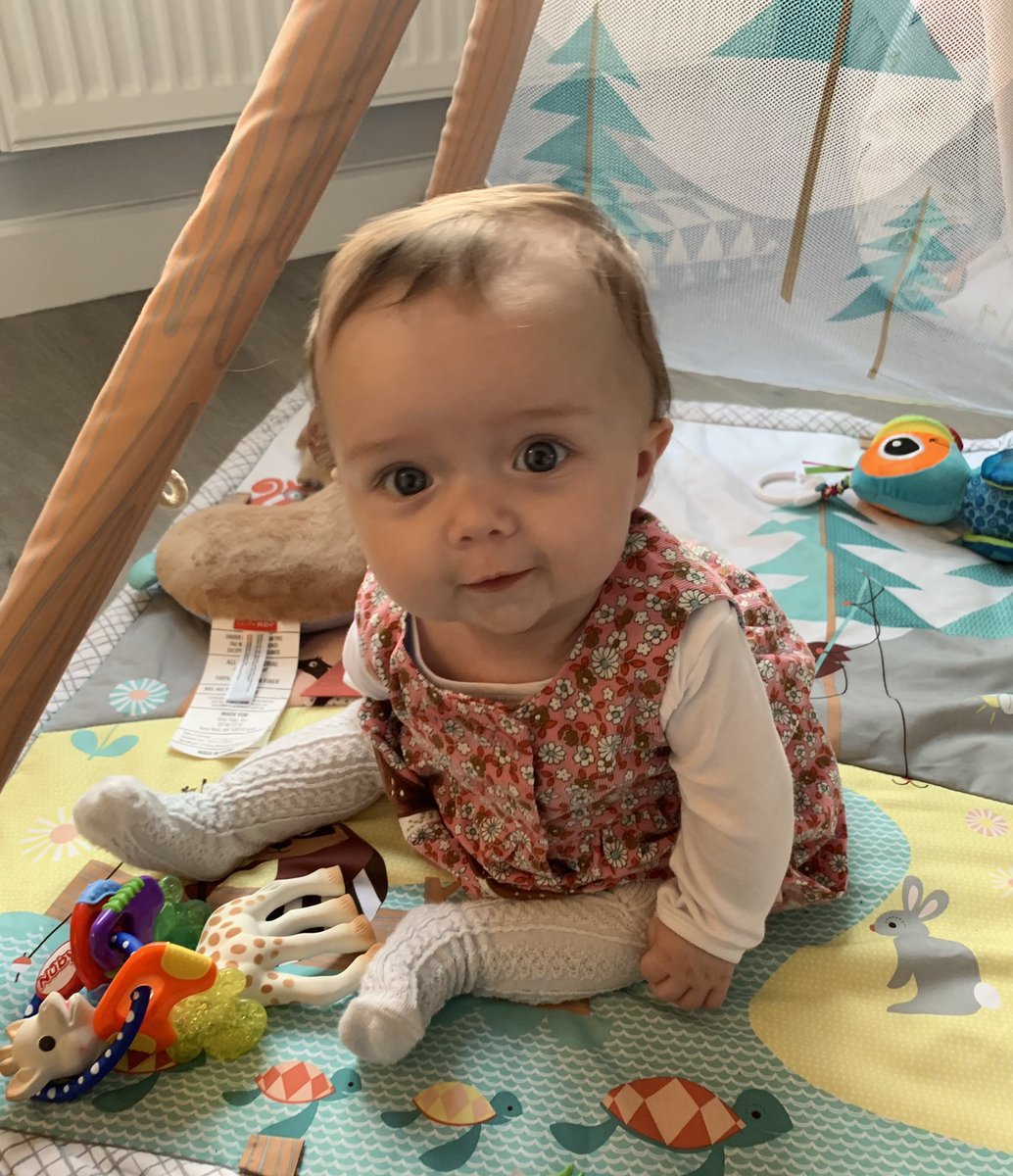 kate_hoult's tweet photo. 4 months old today and already sitting up and giving her brother a run for his money 😆 #growingupfast #4monthsold #clevergirl #2under3 https://t.co/tAaM05biqL
