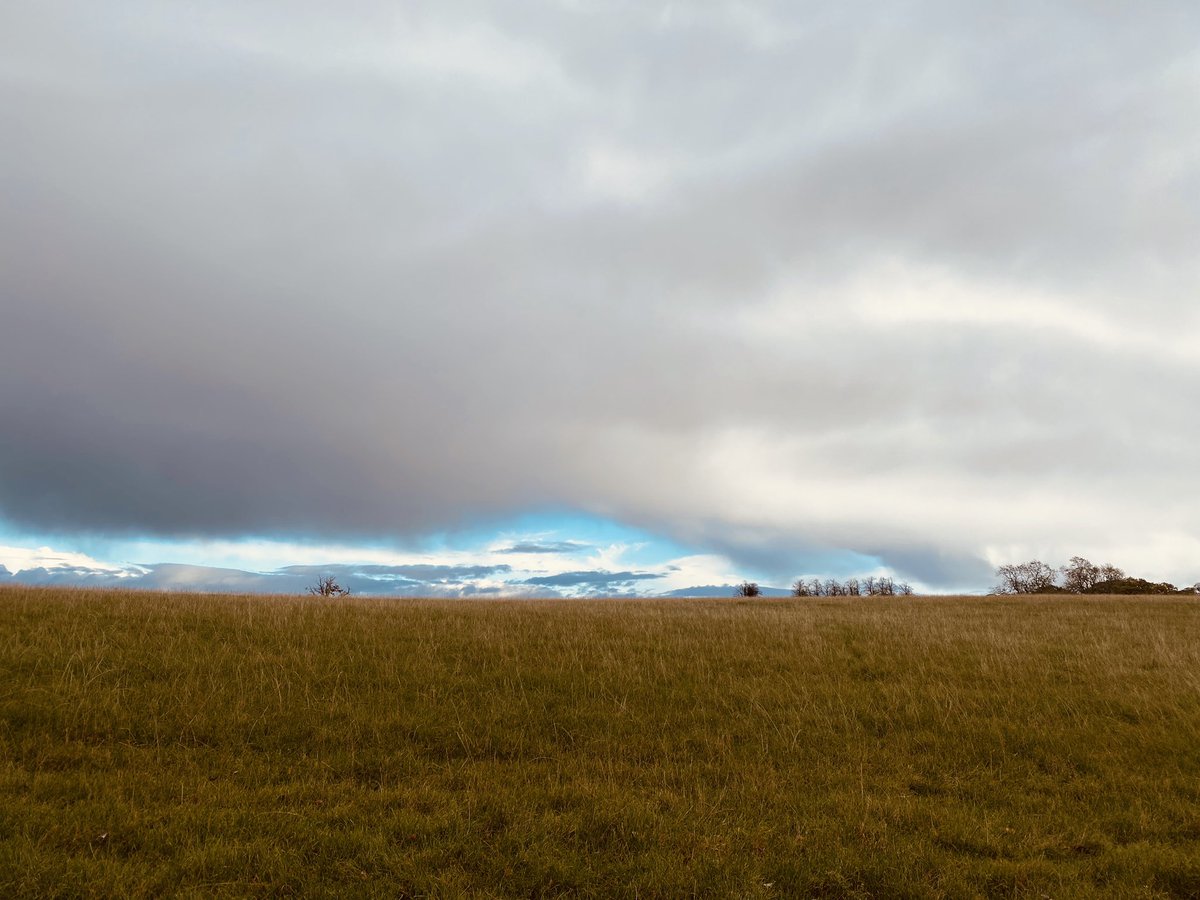 ExSDTurtonMug1's tweet photo. Hoping rain holds off on the last leg of our ramble!!! #NeedABrew #DarkRainClouds #FreshAir #AllByMyself #MugsInABubble https://t.co/1RKLbnp3ib