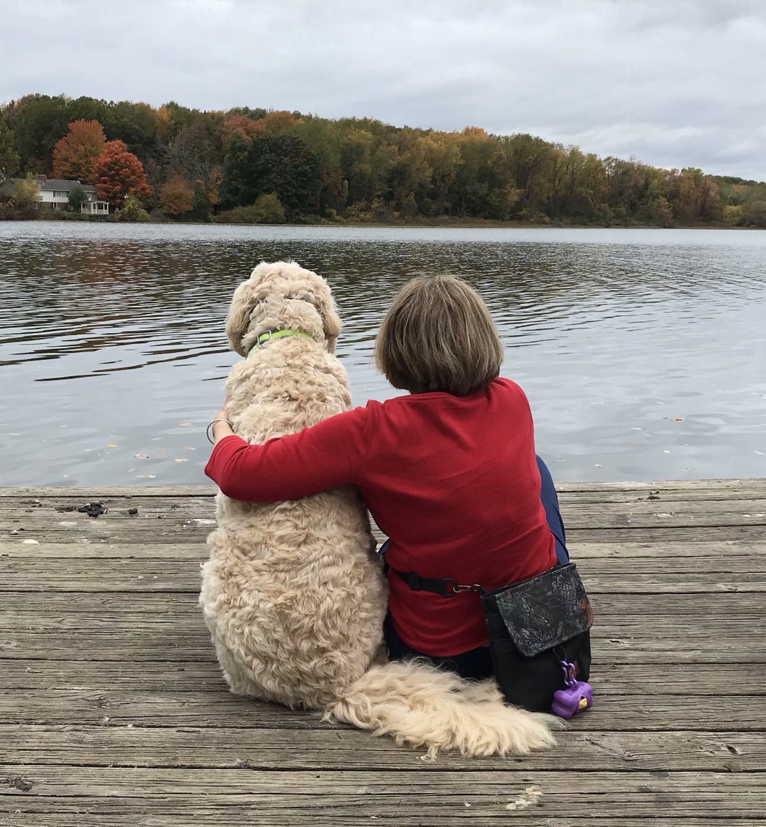 WoofPackTrails's tweet photo. Life’s journey is best with a dog 💛
#MondayMotivation #OntheGoWoofPack https://t.co/IS1Fx9SPWL
