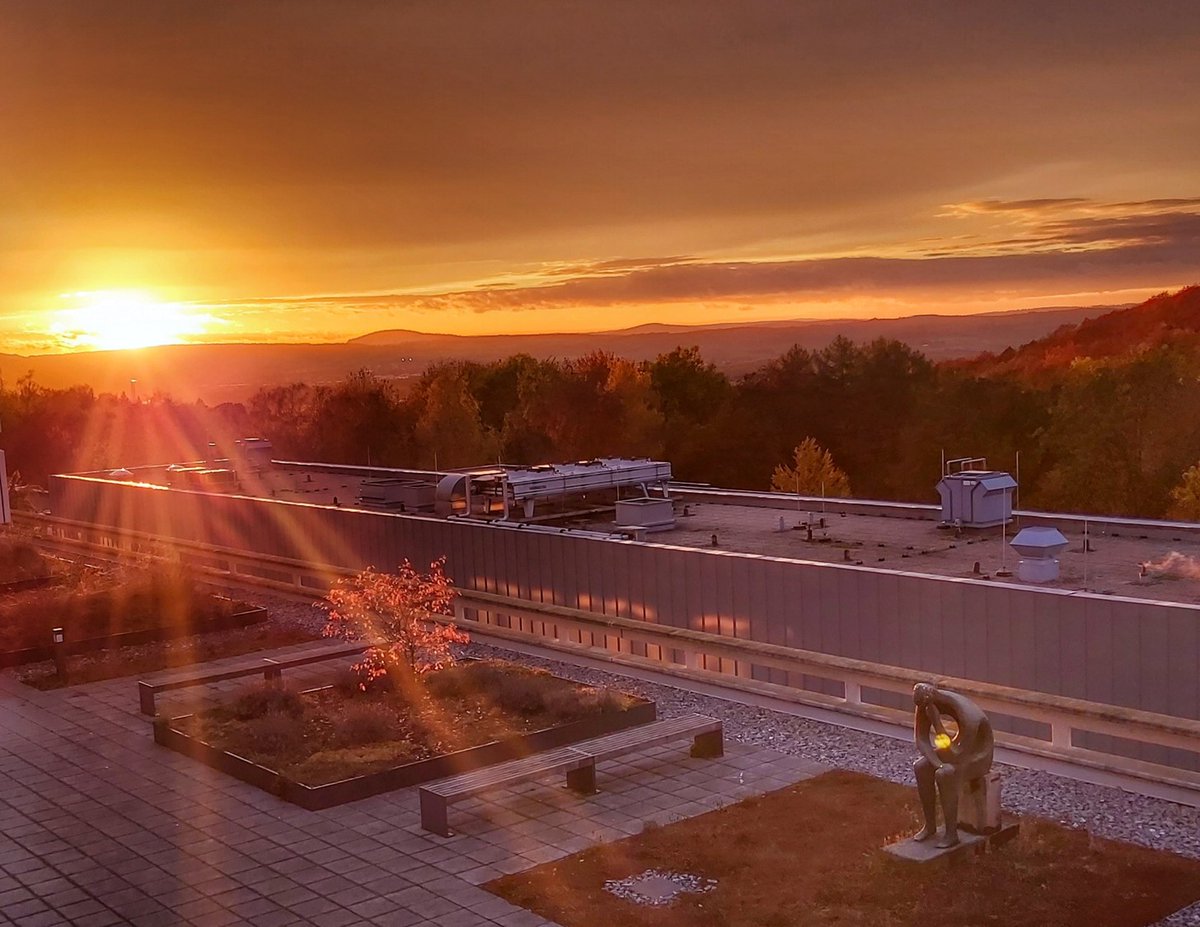 Ninadini Sharma tweet media