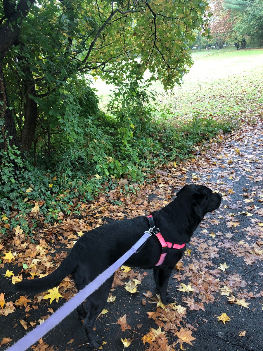 Ms. Aicher tweet media