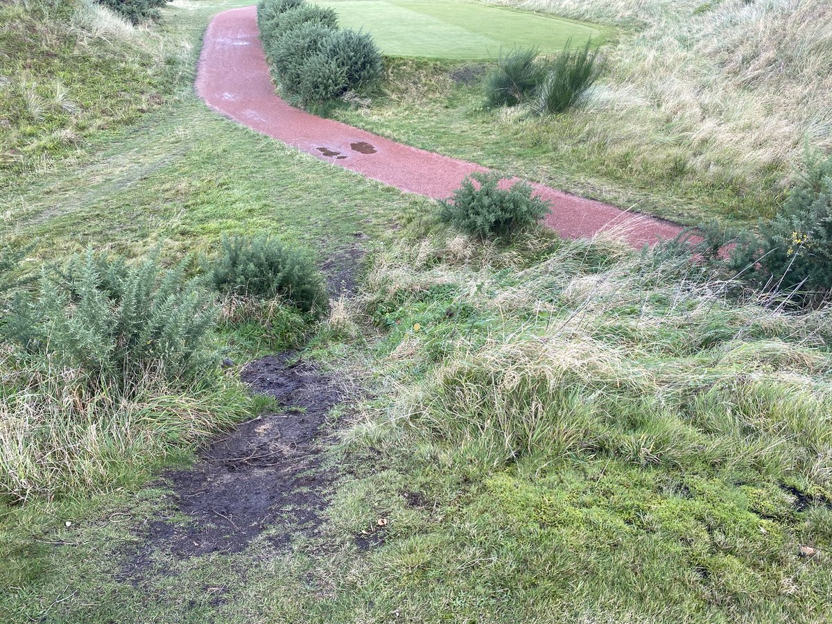 Hillside_Greens's tweet photo. Phase 2 @Hillside_GC is only a week away. Looking forward to doing away with another path and some more gorse bushes. Should make a great tee complex when finished. https://t.co/PzX6ieQVnQ