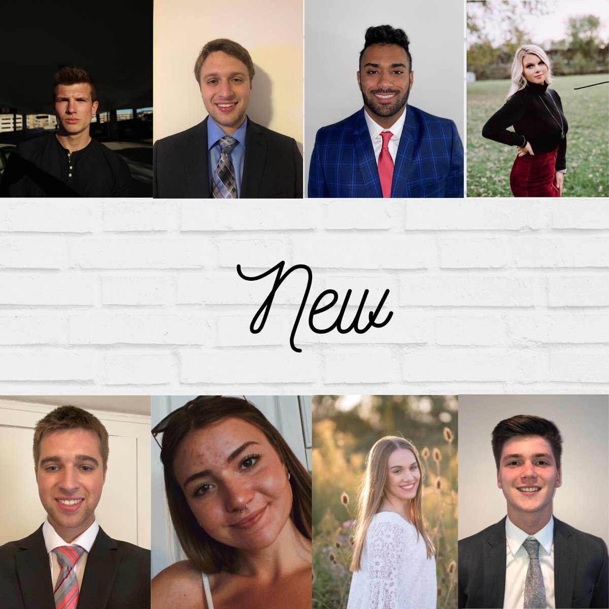 ΔΣΠ - Beta Pi tweet media