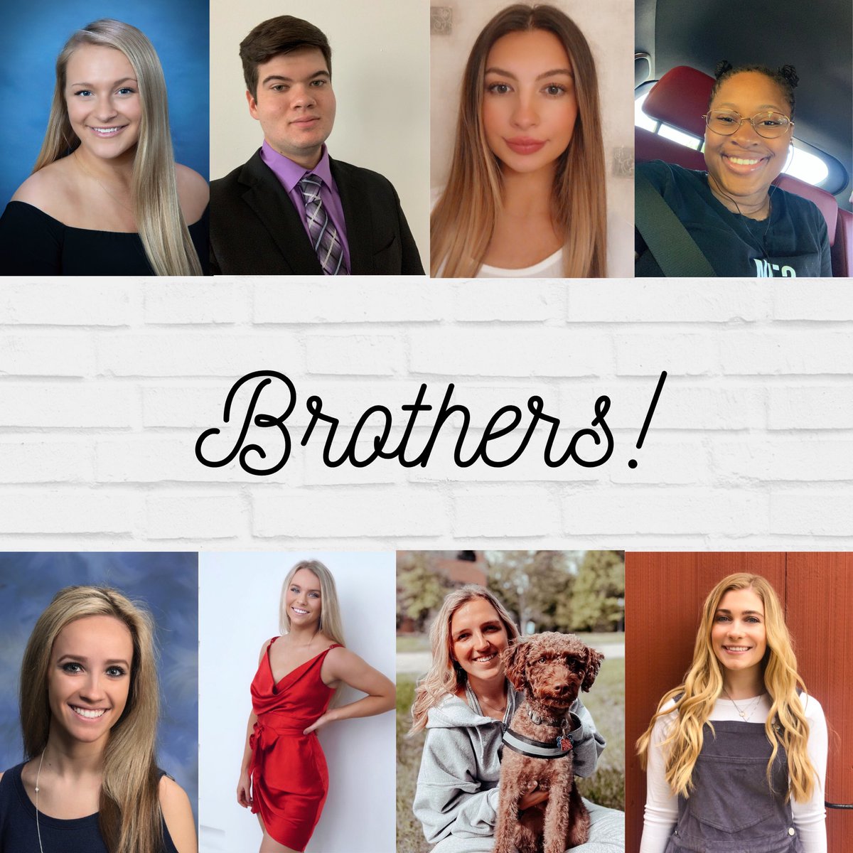 ΔΣΠ - Beta Pi tweet media