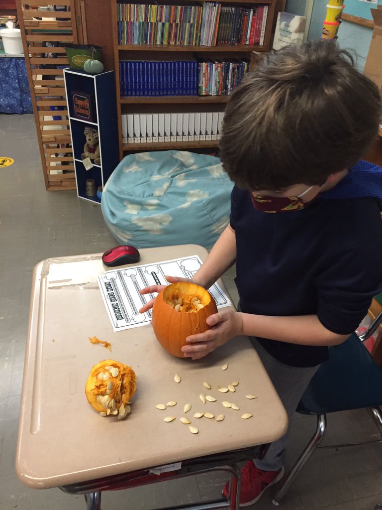 kgazard1's tweet image. Covid can’t stop this pumpkin fun. I think they’re happy to have one all to themselves!!! #pumpkinmath #messy @AshlandClockers @MindessClocker