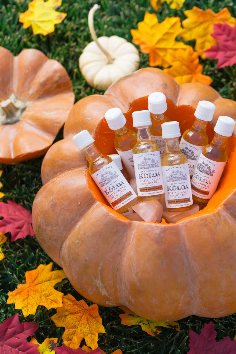 KoloaRum's tweet photo. Add a little spice to your holidays! ππ Happy #NationalPumpkinDay from your friends at #koloarum #spicerum #rumdrinks #rumcocktails https://t.co/1ZWZ409mQb