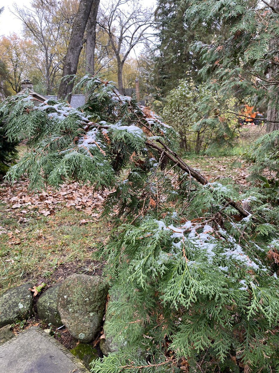 LilWont94's tweet photo. First snowfall!!! #winter #winteriscoming https://t.co/xhzX6oAViQ