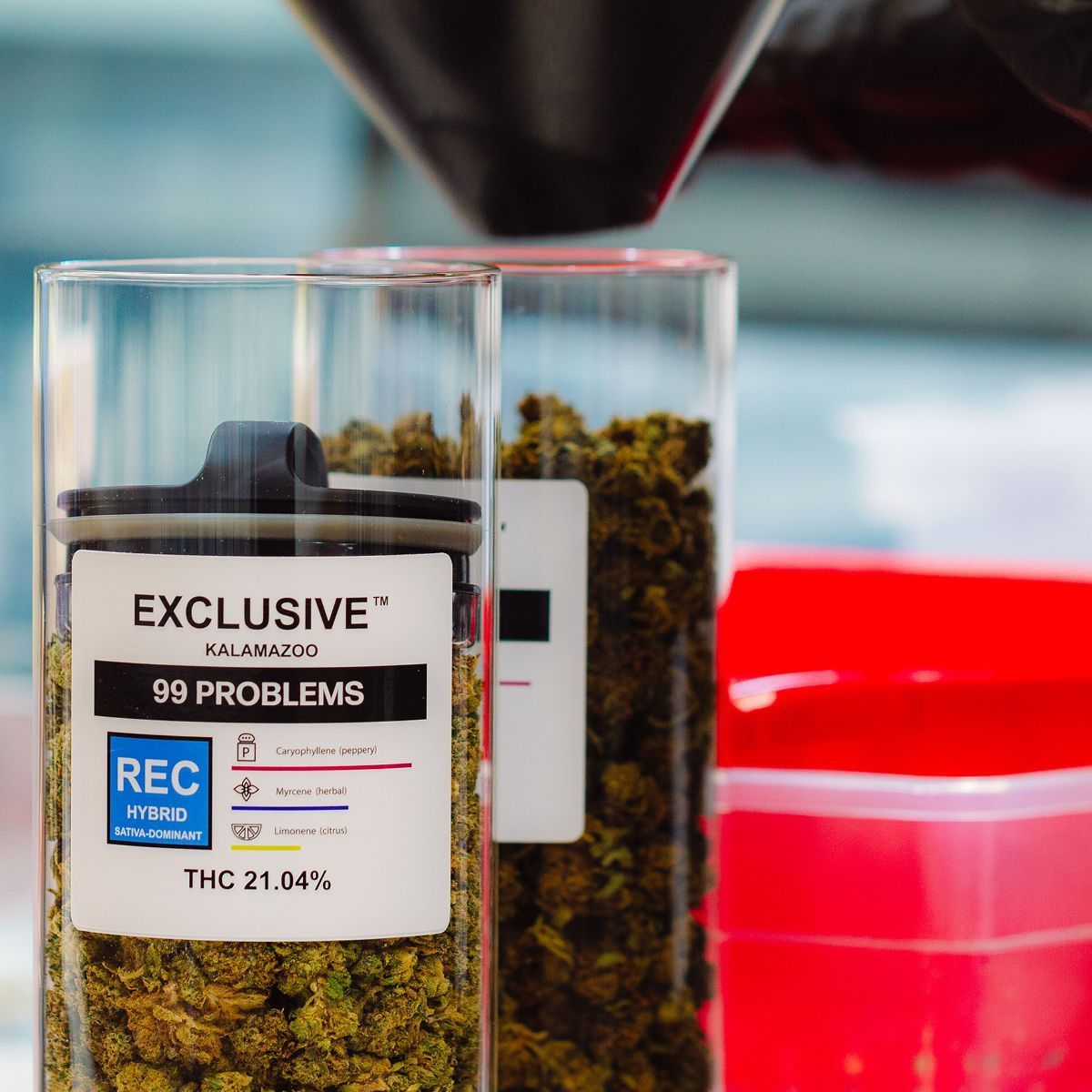 exclusivekzoo's tweet photo. #99problems but a good high ain’t one. Cloud Cover’s in-house creation, 99 Problems, is a perfect cross between White 99 &amp; Stardawg. With an aroma of refreshing sweet berries, this potent sativa will ignite the mind and invigorate the soul #weedlife #goodvibes #cannabiscommunity https://t.co/1gZfahlMKA