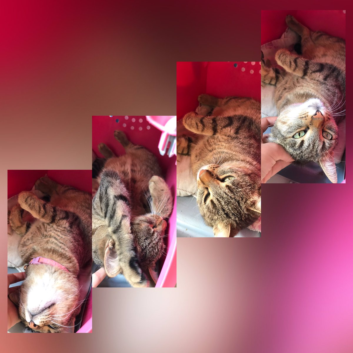 Sabah uyanırken aynı aşamalardan geçiyorum diyenler😂