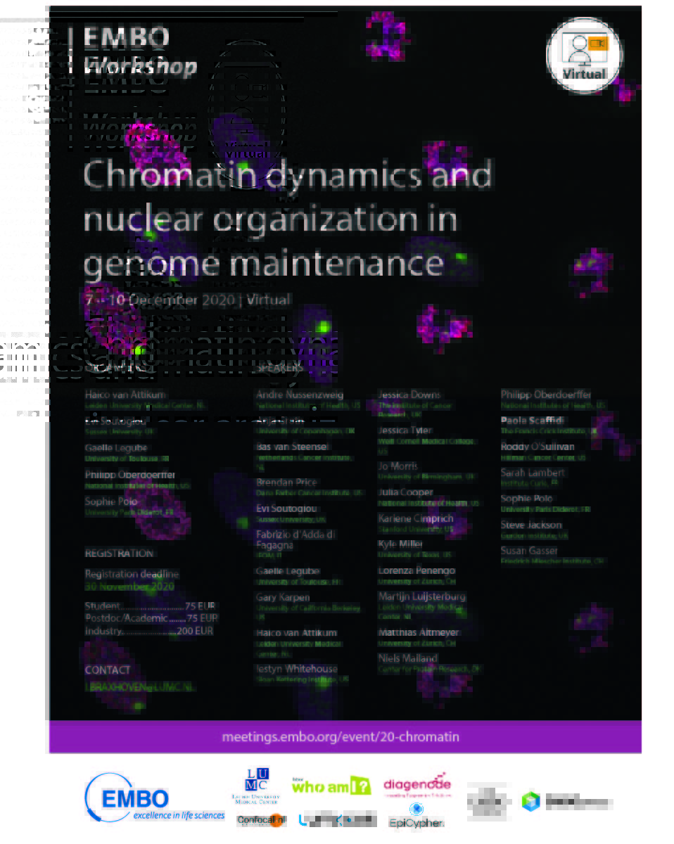 haicovanattikum's tweet image. The EMBO workshop "Chromatin dynamics and nuclear organisation in genome  maintenance" will take place online from December 7-10, 2020. Check out our fantastic list of speakers and register before November 30, 2020 at meetings.embo.org/event/20-chrom….  Please RT
