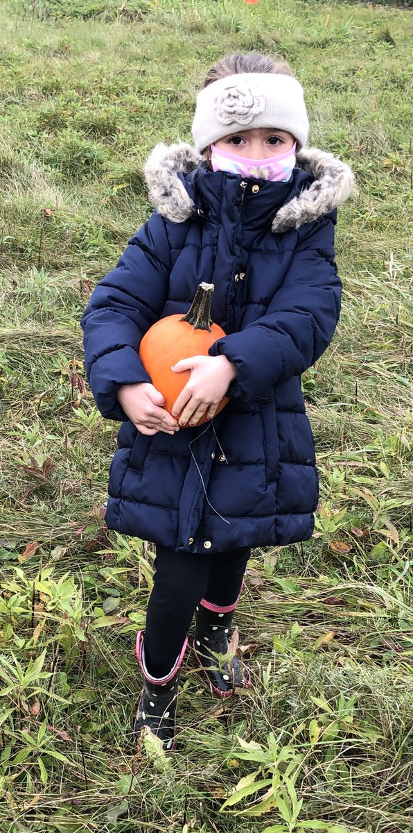 KCookFDK's tweet photo. Today the kindergartens went on a virtual field trip to a pumpkin patch. After our online trip we headed out to the pumpkin patch in our school yard and each student picked a pumpkin. @SCDSBey @FldcrestFalcons  @SCDSB_Schools https://t.co/kXTBrYOWpa