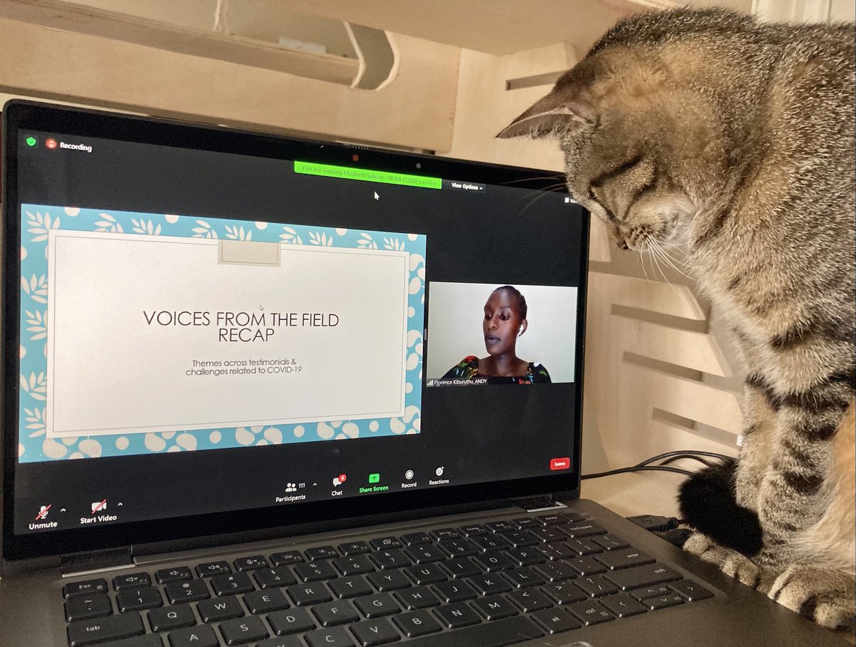 My @Chemonics colleagues and I (+ Lupita😺) are excited to virtually participate in #SEEP2020 this week! We've already heard from development practitioners all over the world on how #disruptivecollaboration can build a #resilient future in a radically uncertain world.