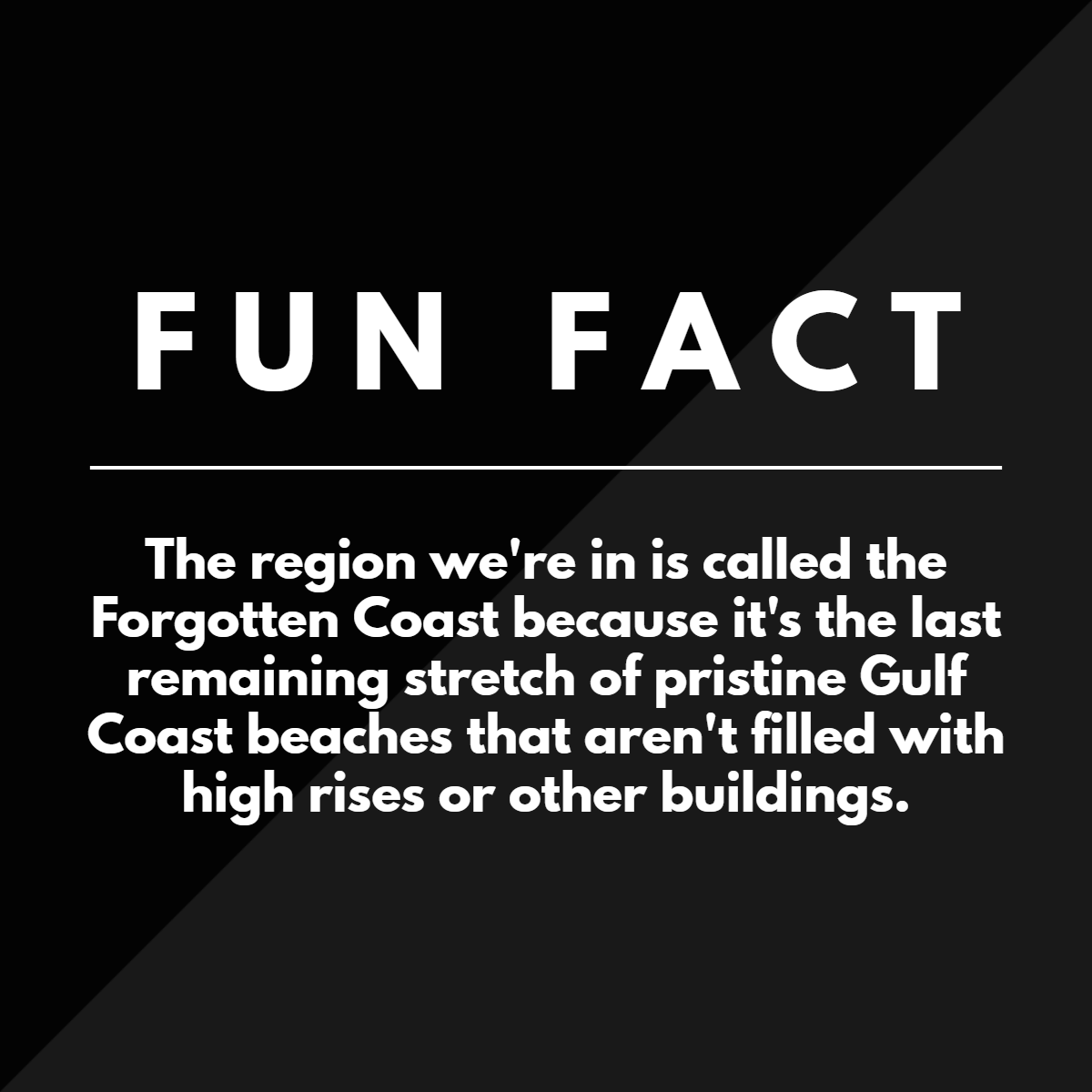 StJamesBayGolf's tweet photo. We're lucky to call the Forgotten Coast home, and there's nothing we love more than sharing our little slice of heaven with our members and visitors. #forgottencoastgolf #gulfcoastgolf https://t.co/Imnr5W1WSY
