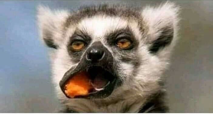 i_iyanz's tweet photo. @reykiya Ordinary man to DM me, i no see

When God?!😫😫

Some people are even kissing already! https://t.co/Go3CMBkeX5