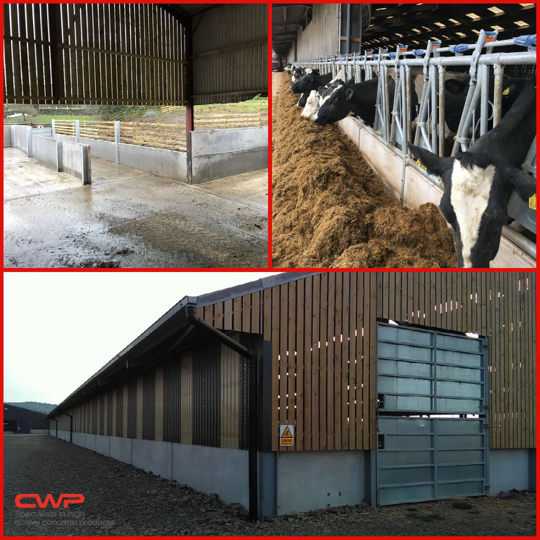 Our wall panels are the perfect partner for agricultural builds! 🐄

All our panels are extremely durable, enabling gates, racks and cubicle frames to be attached straight to the panels with rawl bolts as a permanent feature.

#CWPConcrete  #farminguk #concretepanels #agriuk